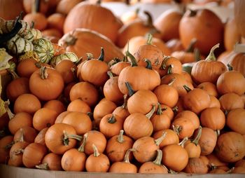 High angle view of pumpkins for sale at market stall