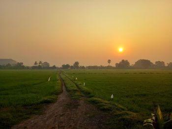 Scenic view of field against sky during sunset