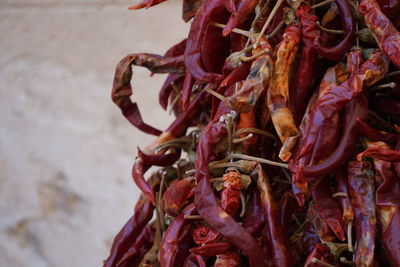 Close-up of red chili peppers for sale at market