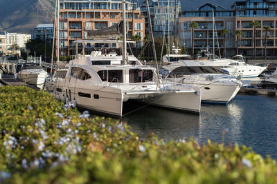 Boats moored in water