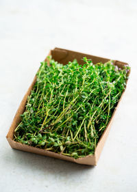 High angle view of food on table