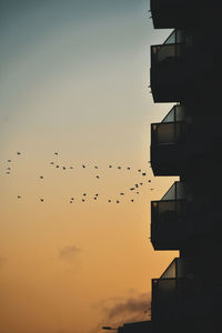 Silhouette birds flying against sky during sunset