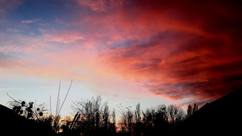 Low angle view of silhouette plants against dramatic sky