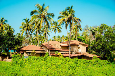 Houses and trees on field against clear sky