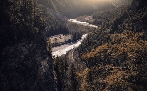 High angle view of road amidst trees in forest