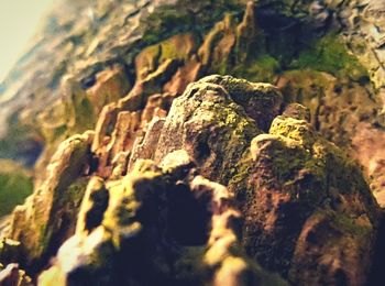 Close-up of rock formation in cave