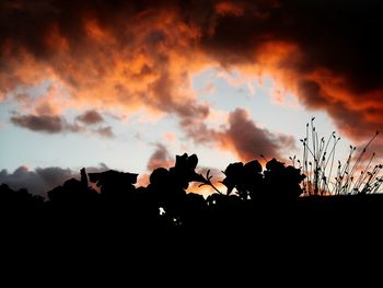 Low angle view of silhouette trees against orange sky