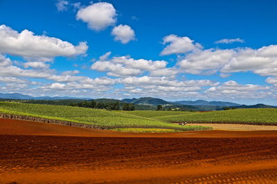 Scenic view of field against blue sky