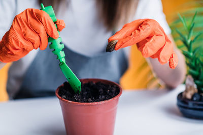 Woman planting seeds in pot at home