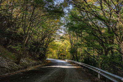 Road amidst trees in forest