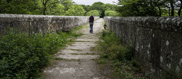 Rear view of woman walking with dog on walkway