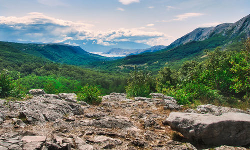 Scenic view of landscape against sky