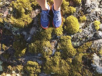 Low section of woman standing on rock by plants
