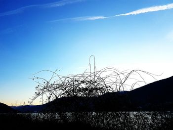 Low angle view of silhouette birds against sky during sunset