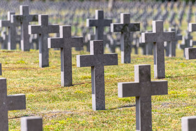 A lot of small, concrete crosses at the german war cemetery in the netherlands.