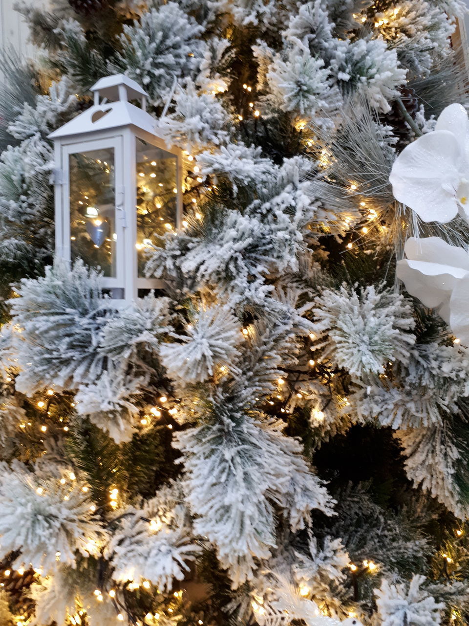 ILLUMINATED CHRISTMAS TREE IN SNOW