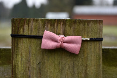 Close-up of pink tied bow on built structure