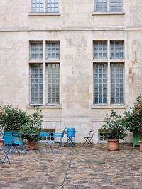 Paris with colours. low angle view of palm tree by building.