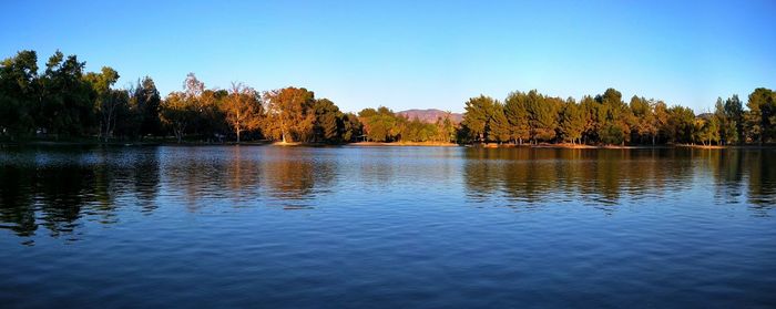 Reflection of trees in calm lake