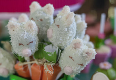 Close-up of white roses