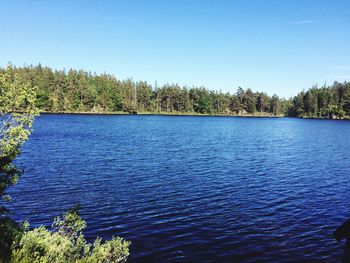 Scenic view of lake