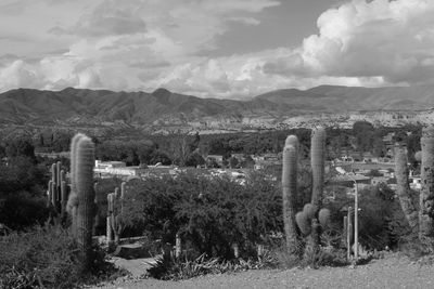 Scenic view of landscape against cloudy sky