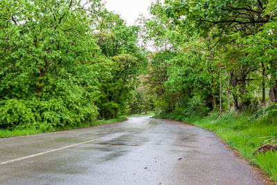 Road amidst trees in forest