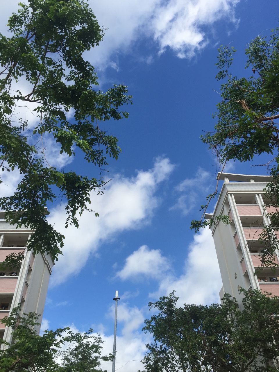 low angle view, building exterior, architecture, built structure, tree, sky, cloud - sky, cloud, blue, building, day, branch, house, high section, outdoors, residential building, no people, sunlight, city, residential structure