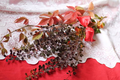 High angle view of red roses on table