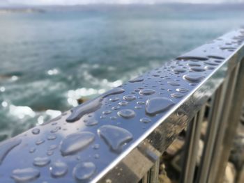 Close-up of raindrops on rainy day