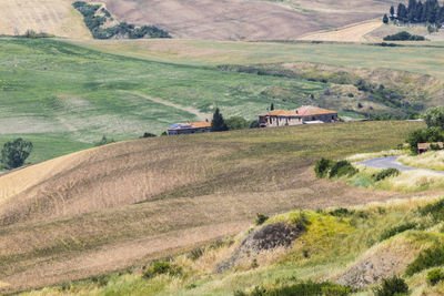 Scenic view of agricultural field by houses and buildings