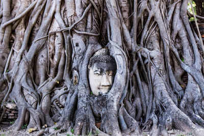 Statue of tree trunk