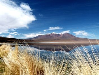 Scenic view of landscape against cloudy sky