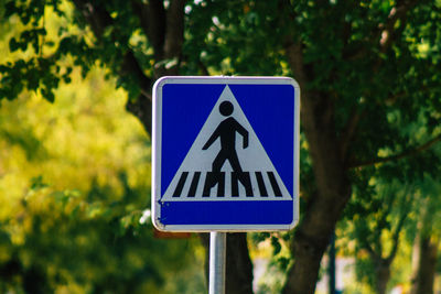 Close-up of road sign against trees