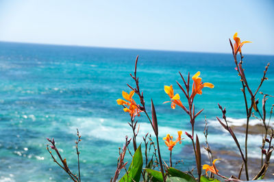 Scenic view of sea against sky
