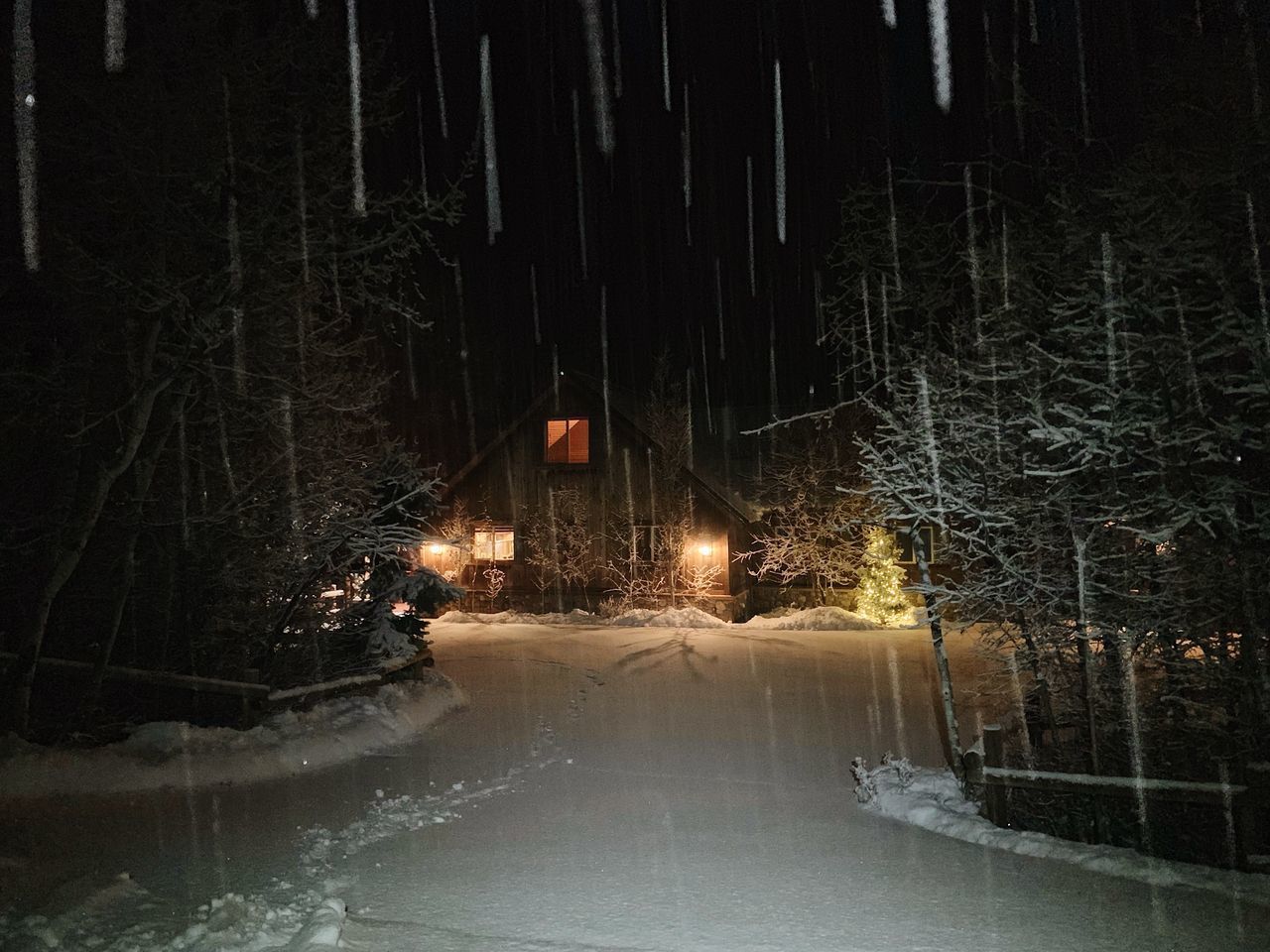 SNOW COVERED ROAD BY TREES DURING NIGHT