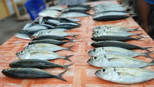 High angle view of fish for sale in market