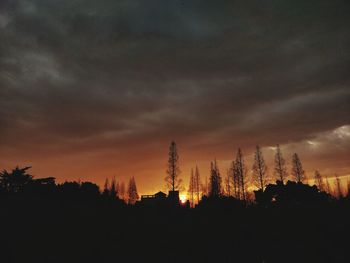 Silhouette trees against sky during sunset