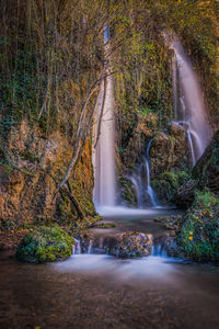 View of waterfall in forest