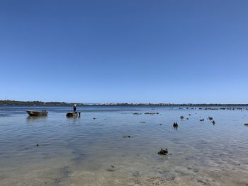 Ducks in lake against clear blue sky