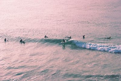 High angle view of people surfboarding in sea