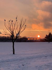 Bare tree on snow field against sky during sunset