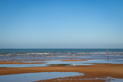 Scenic view of sea against clear blue sky