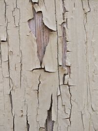 Full frame shot of weathered wall