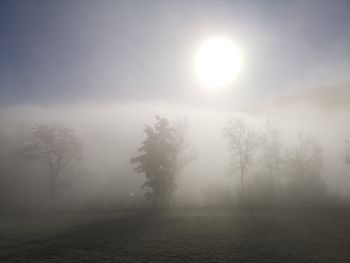 Scenic view of trees against sky during foggy weather