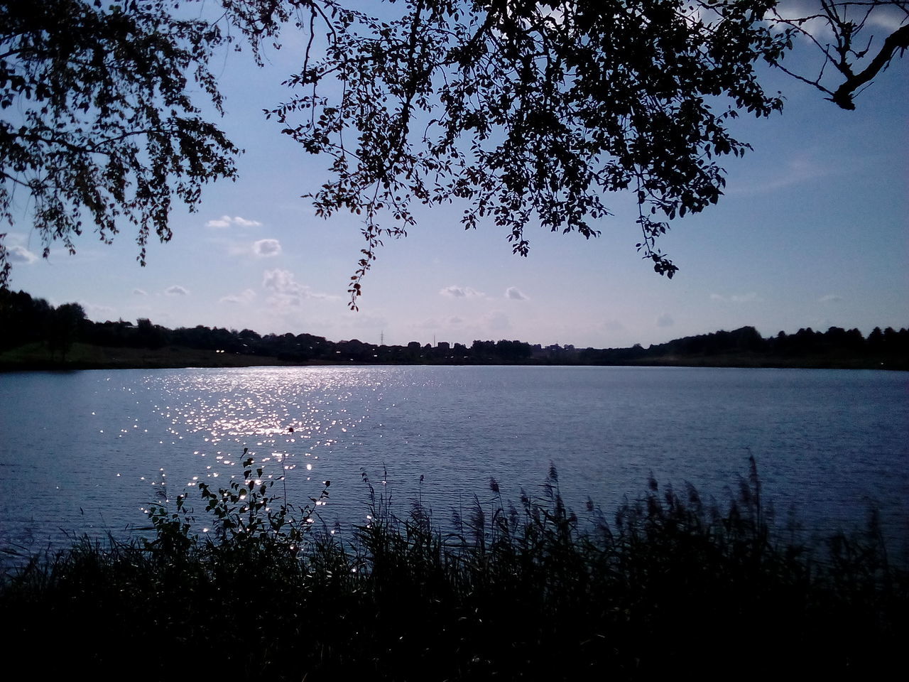 water, lake, tranquil scene, tranquility, scenics, tree, beauty in nature, nature, lakeshore, sky, reflection, mountain, blue, river, branch, idyllic, calm, clear sky, silhouette, plant