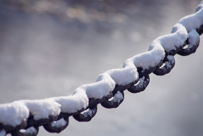 Close-up of snow covered chain