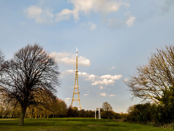 Trees on field against sky