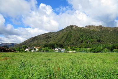 Scenic view of field and mountains against sky