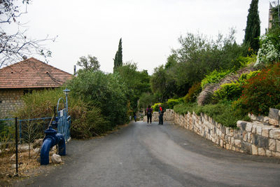 People walking on road amidst trees against clear sky